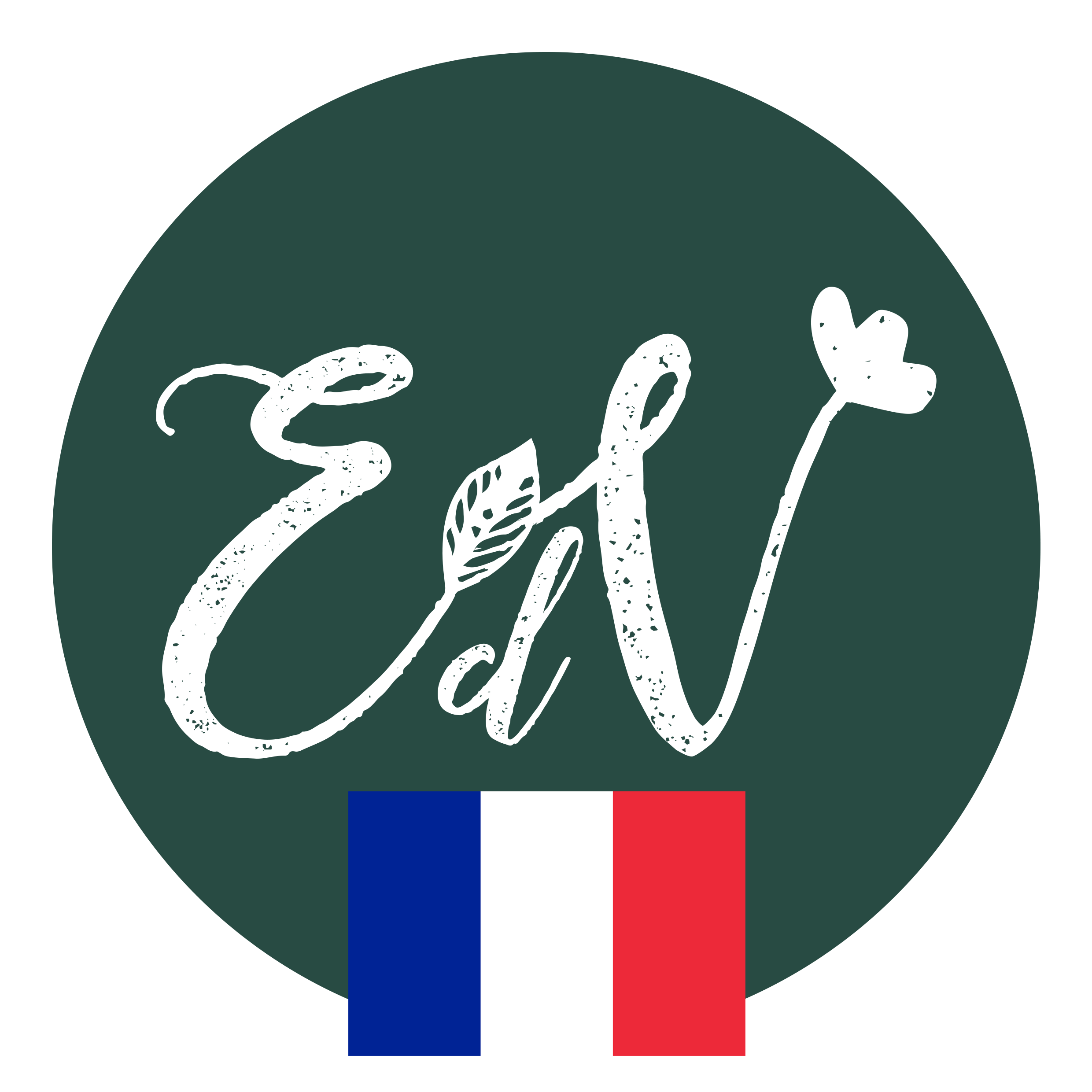 logo_EDV_rotondo_fr