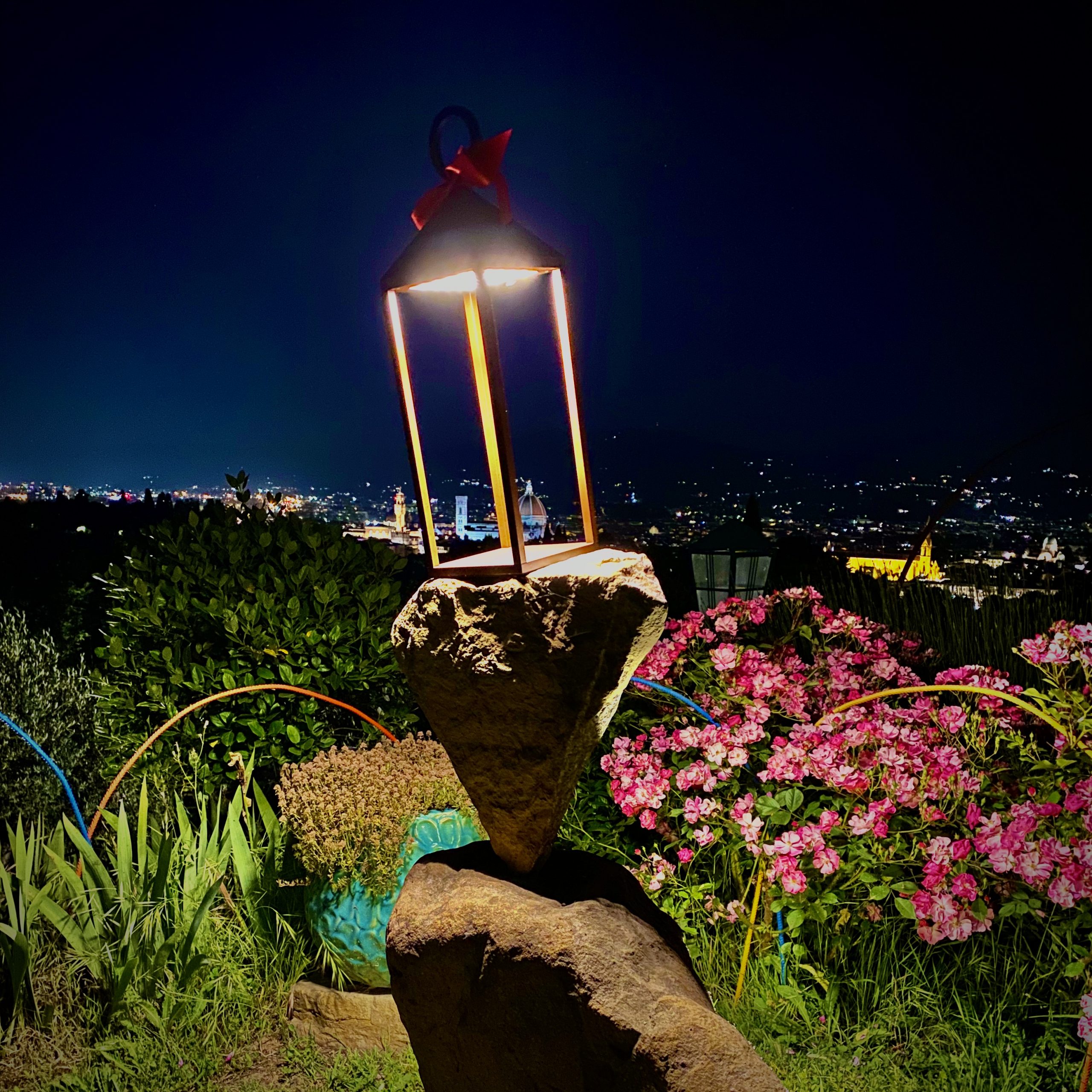 IMG_3987-300x300-1
