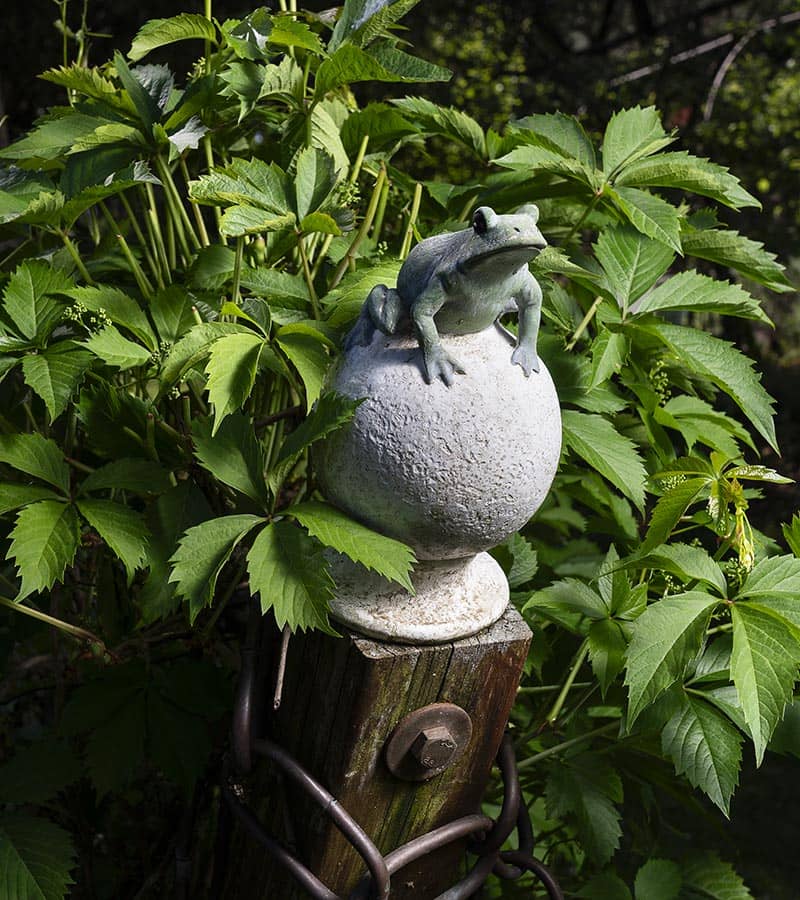 EDVGARDEN_INSTALLAZIONE3
