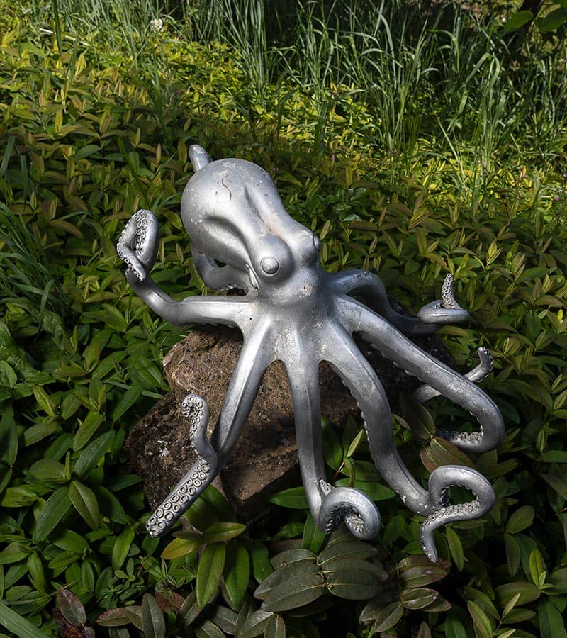 EDVGARDEN_INSTALLAZIONE9